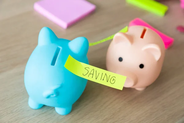 Money saving. Banking account.Money budget planning. Piggy bank pink pig stuffed dollar banknote cash.