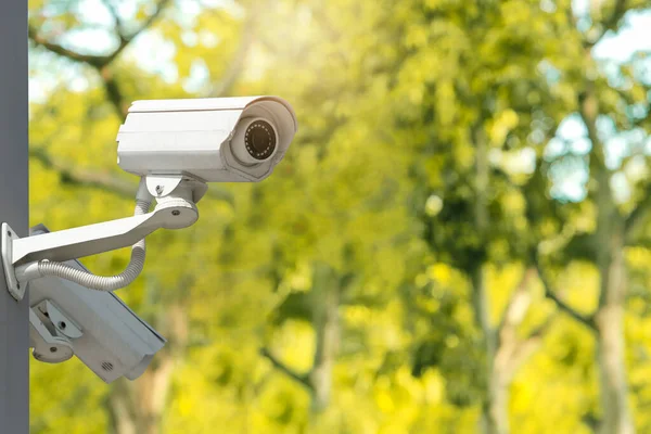 Cctv Kamera Konzept Der Überwachung Und Überwachungskamera Mit Parksicherheitskonzept — Stockfoto