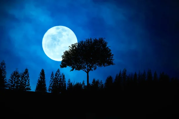 Blauer Mond Und Sterne Blauer Mond Steigt Über Hügel Der — Stockfoto