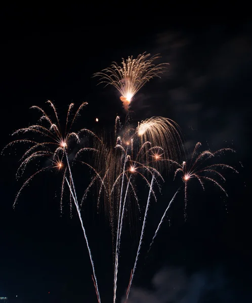 Beautiful firework on the sky at night. — Stock Photo, Image