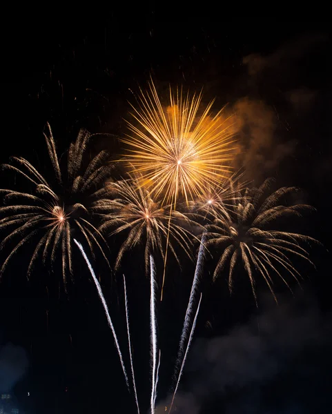 Beautiful firework on the sky at night. — Stock Photo, Image