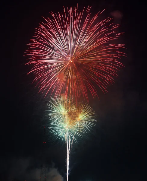 Beautiful colorful firework on the sky at night. — Stock Photo, Image