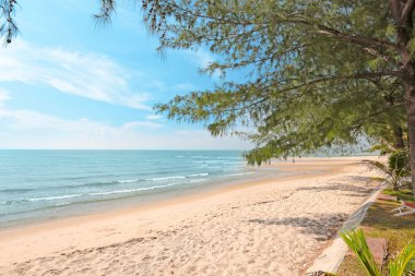 Deniz plaj doğa sahne. Tropikal plaj tatil.