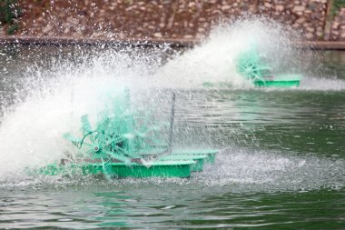 Surface aerator low speed motor hydro water.
