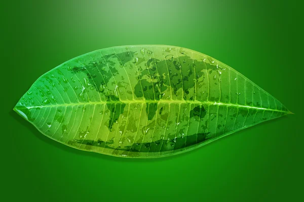 Zielona koncepcja środowiska liści uratować Ziemię. — Zdjęcie stockowe