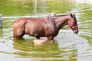 Nakhonratchasima, THAILAND - July 30, 2015 : A man washes horse 