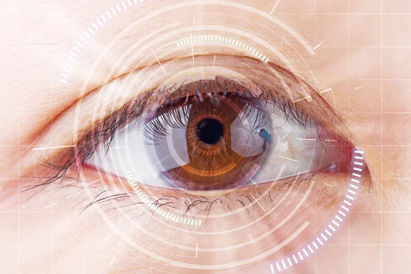 Close-up brown eye the future cataract protection , scan, contac Stock Image