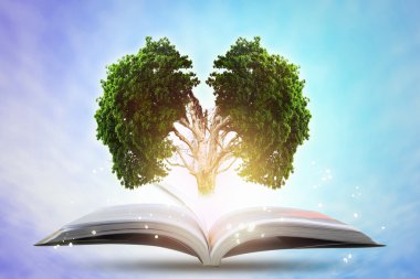 Kitap bilgi ile beyin büyük ağaç büyüyen. 