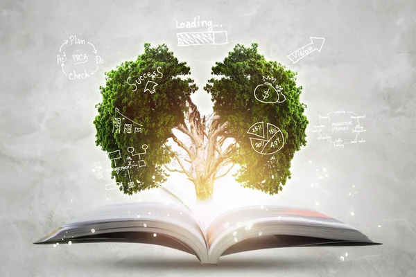 Book of growing knowledge with brains big tree. — Stock Photo, Image