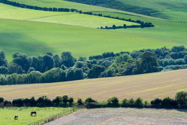Views across the South Downs in East Sussex clipart
