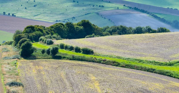 South Downs East Sussex'deki / daki manzaralarına