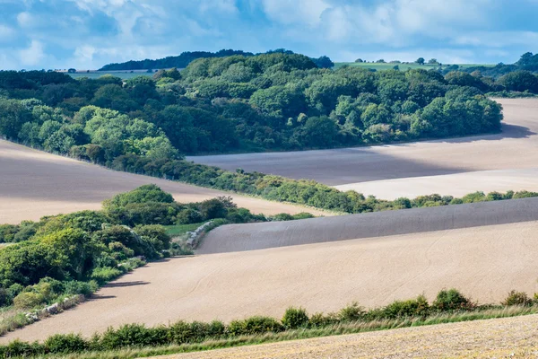 South Downs East Sussex'deki / daki manzaralarına