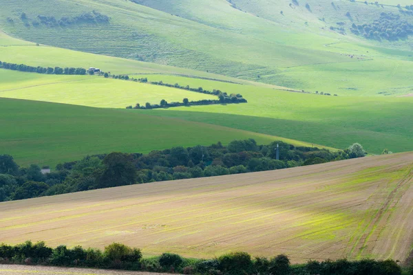 South Downs East Sussex'deki / daki manzaralarına