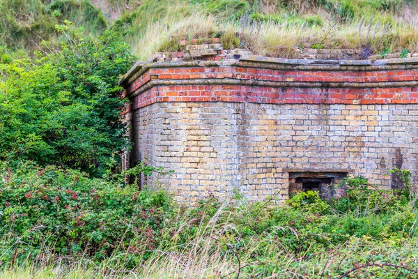 Dikenli ve çim çevrili terk edilmiş yol kenarındaki bina