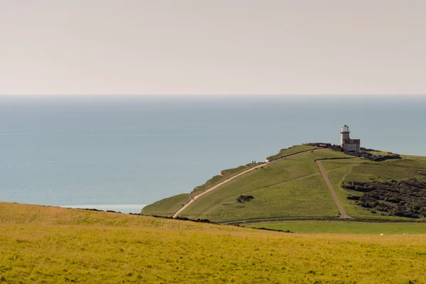 Sayısı boyunca South Downs East Sussex'deki / daki Beachy Head