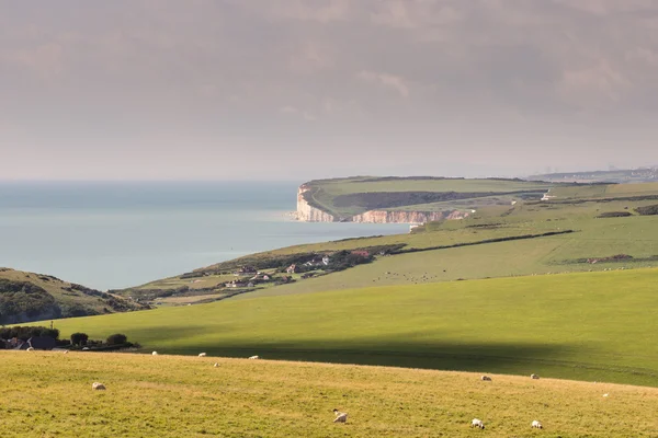 Sayısı boyunca South Downs East Sussex'deki / daki Beachy Head