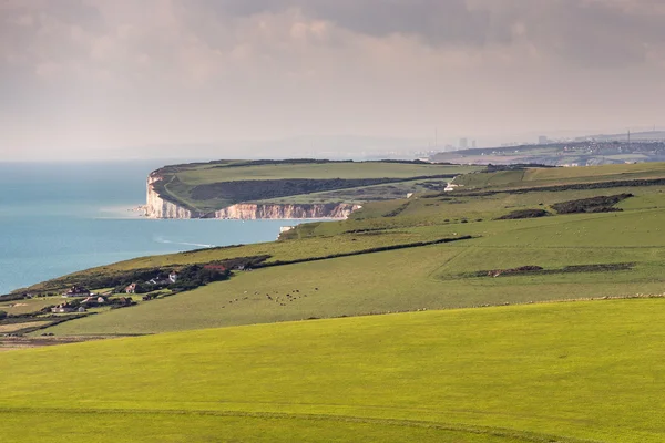 Sayısı boyunca South Downs East Sussex'deki / daki Beachy Head