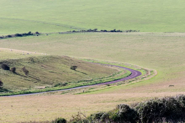 Sayısı boyunca South Downs East Sussex'deki / daki Beachy Head