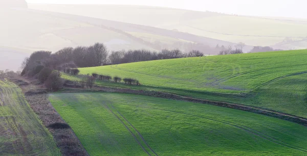 South Downs manzara karşısında sonlarında kışın güneşli çalış