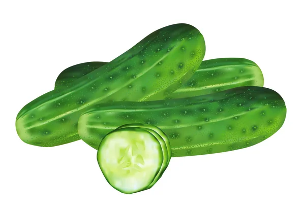 Pepinos y rodajas de pepino — Vector de stock