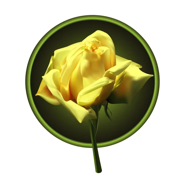 Gele roos — Stockvector
