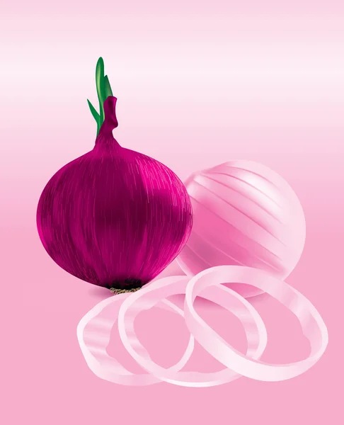 Red onions and chopped onion rings — Stockvector