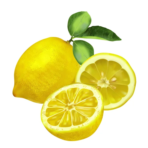 Fresh lemon with leaves, lemon slice and part lemon