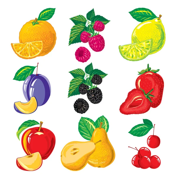 Conjunto de frutas maduras e fatias de frutas, bagas — Vetor de Stock