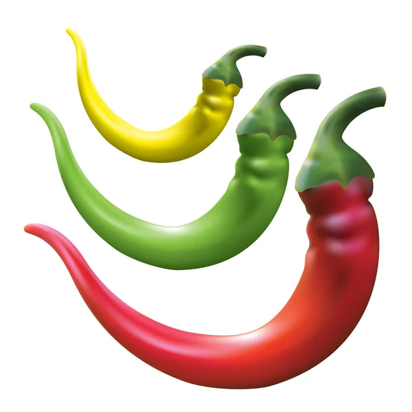 Hot chili peper — Stockvector