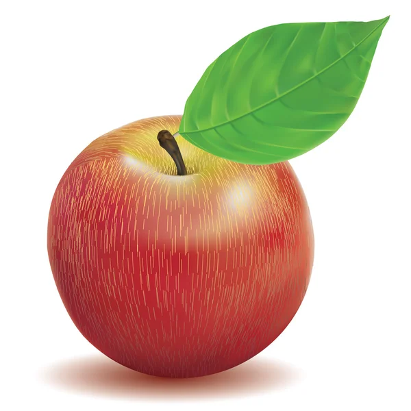 Apfelrote Farbe — Stockvektor