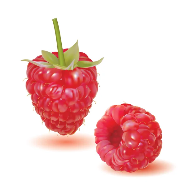 Kırmızı olgun taze frambuaz