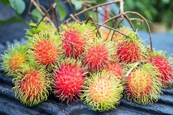 鲜红色红毛丹甜可口的水果。李子大小的热带水果, 软刺和略带酸性的味道, 在该地区的许多国家栽培. — 图库照片