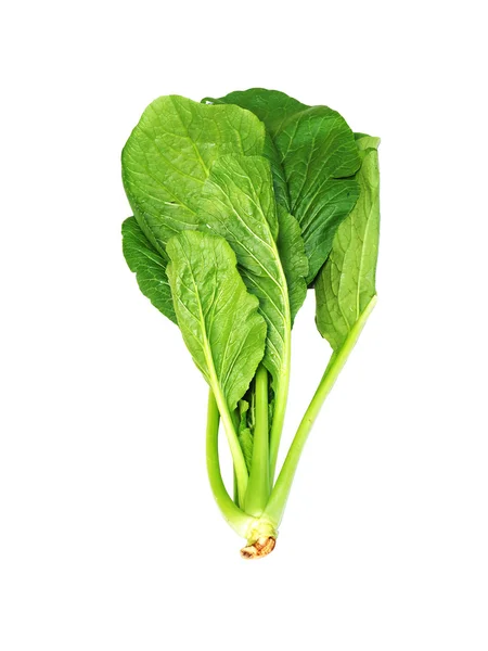 Choy Sum or Bok choy or chinese cabbage vegetable isolated on white background. Green fresh vegetable. — Stock Photo, Image