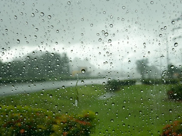 Regen waterdruppel op de spiegel muur na regenachtig met vervaging verse groene plant en over de weg in de achtergrond. — Stockfoto