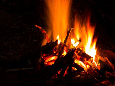 Ormanın içinde gece kamp ateşi yakacak odun yanan ateş. Şenlik ateşi kışın ılık hale gelen alev. (seçici odak)