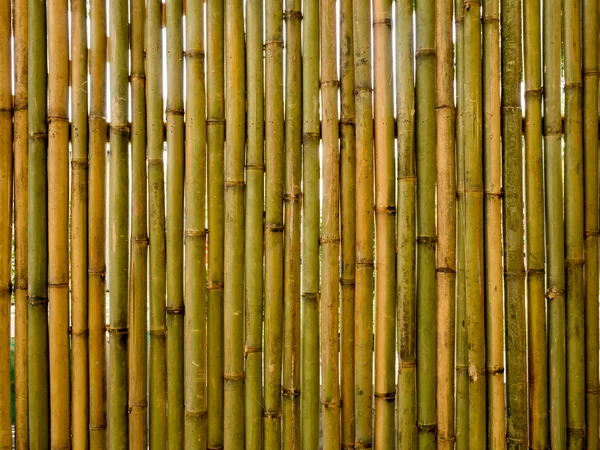 Vintage vertikala bruna och gröna bambu staket textur bakgrund. — Stockfoto