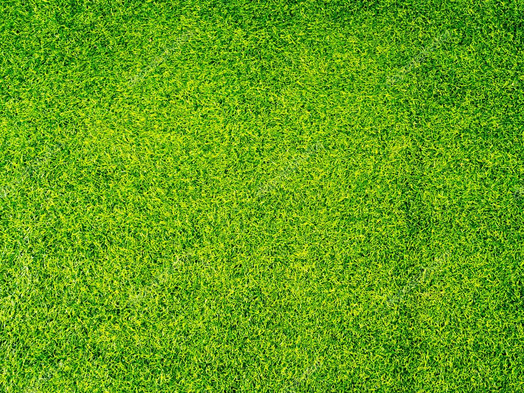 Bright green grass field for background wallpaper banner Stock Photo by  ©ieang 122147110
