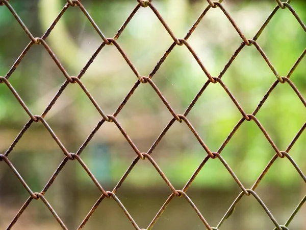 Rust steel metal net for security fence with blur nature green in background. — Stock Photo, Image