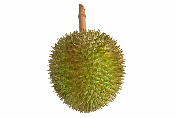 Raja buah-buahan, durian (Salika) lokal yang terkenal di provinsi Phang-nga, Thailand Selatan terisolasi dengan latar belakang putih — Stok Foto