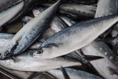 Tatlı taze balık deniz ürünleri yerel pazarda, Tayland