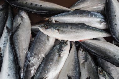 Tatlı taze balık deniz ürünleri yerel pazarda, Tayland