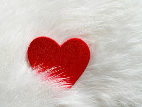 白猫の毛の赤いハートとバレンタインデーの背景。幸せなバレンタインデー。バレンタインの日カード。愛とバレンタインのコンセプト. — ストック写真