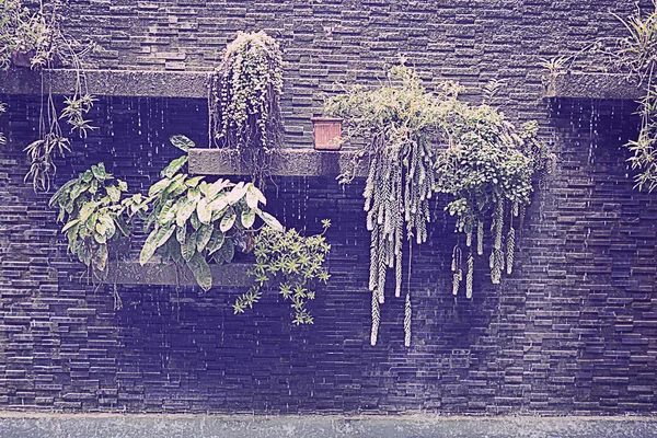 Vintage brick wall with layer of green plant and waterfall