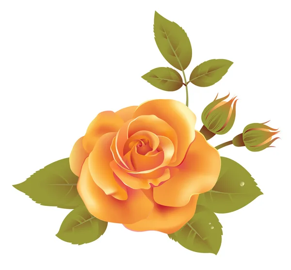 Rosa amarilla — Vector de stock