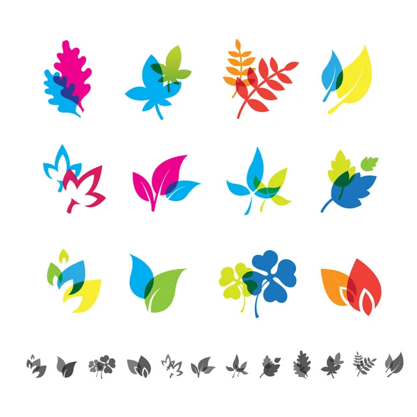 Zestaw 12 ikon botaniczny. — Wektor stockowy