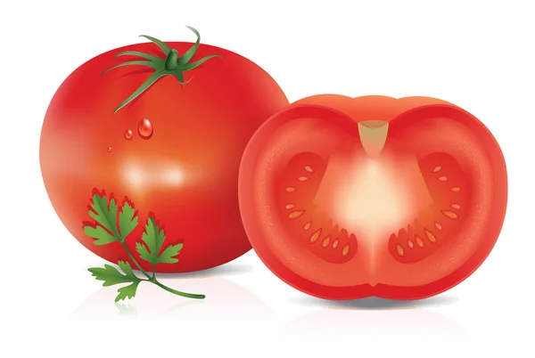 Ilustração do tomate —  Vetores de Stock