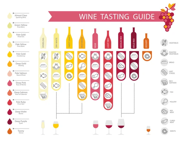 Info-gráficos del vino — Vector de stock