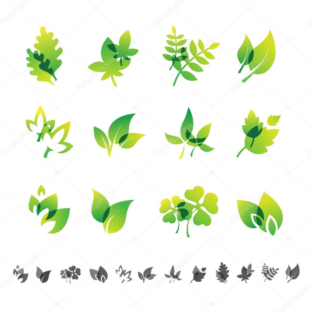 Set of 12 botanical icons, leafs, brunches and floral  silhouettes
