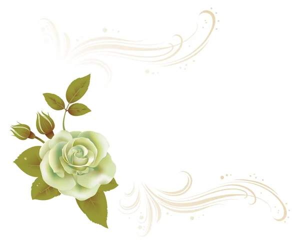 Carte d'invitation avec fleur — Image vectorielle