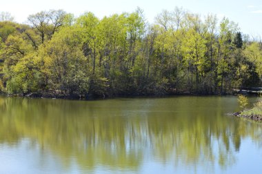 bir nehir manzarası